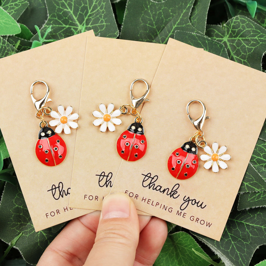 Ladybug and Daisy Charm Keychain with Cards
