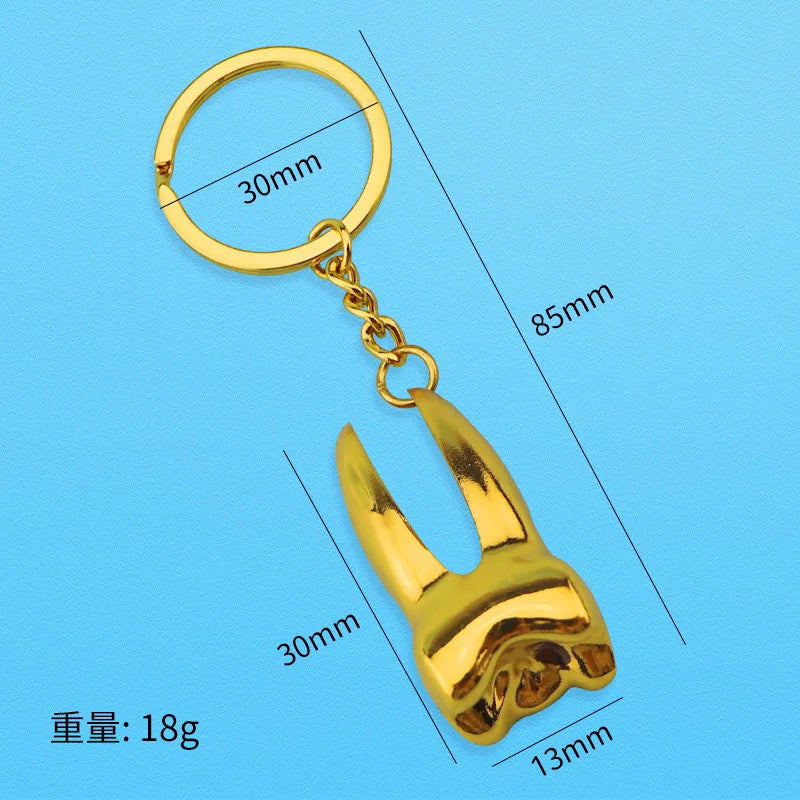 Tooth Keychain Dental Assistant Gift Key Chain Men Women Couple Key Holder Dentist graduation bithday gift