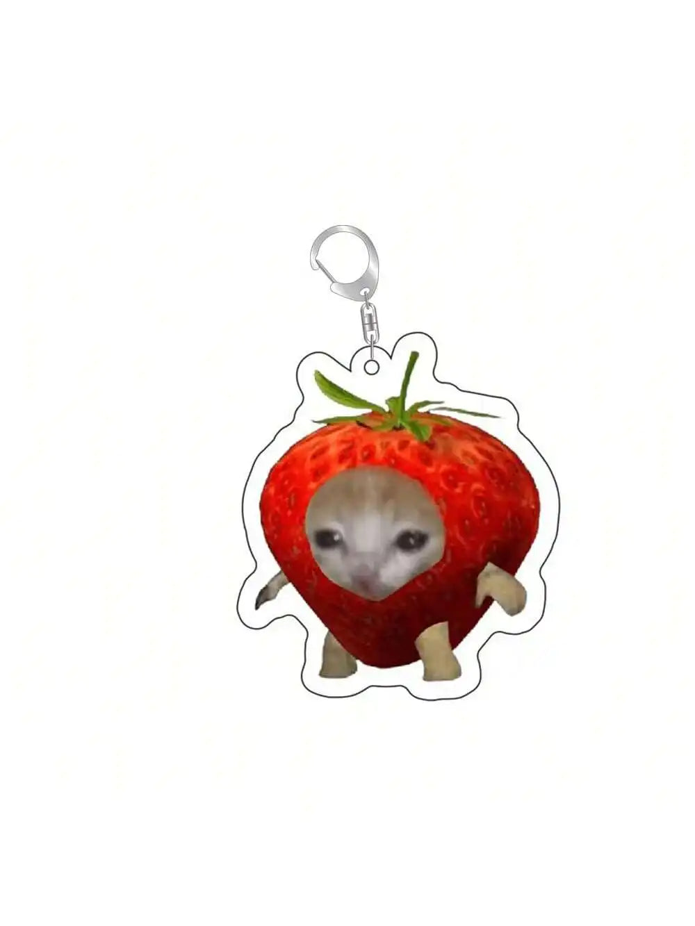 Cat and Dog Meme Charm Keychain with D-Ring Clasp