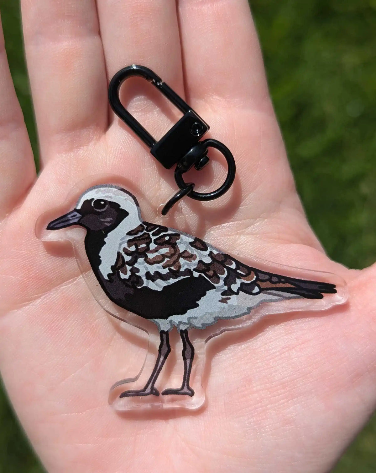 Double-Sided Plover Acrylic Bird Keychain