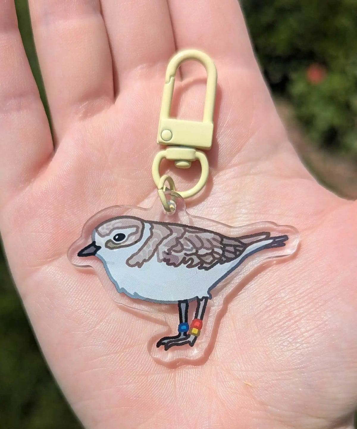 Double-Sided Plover Acrylic Bird Keychain