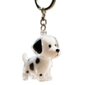 Pet Fur Keepsake Keychain with Carabiner Clasp