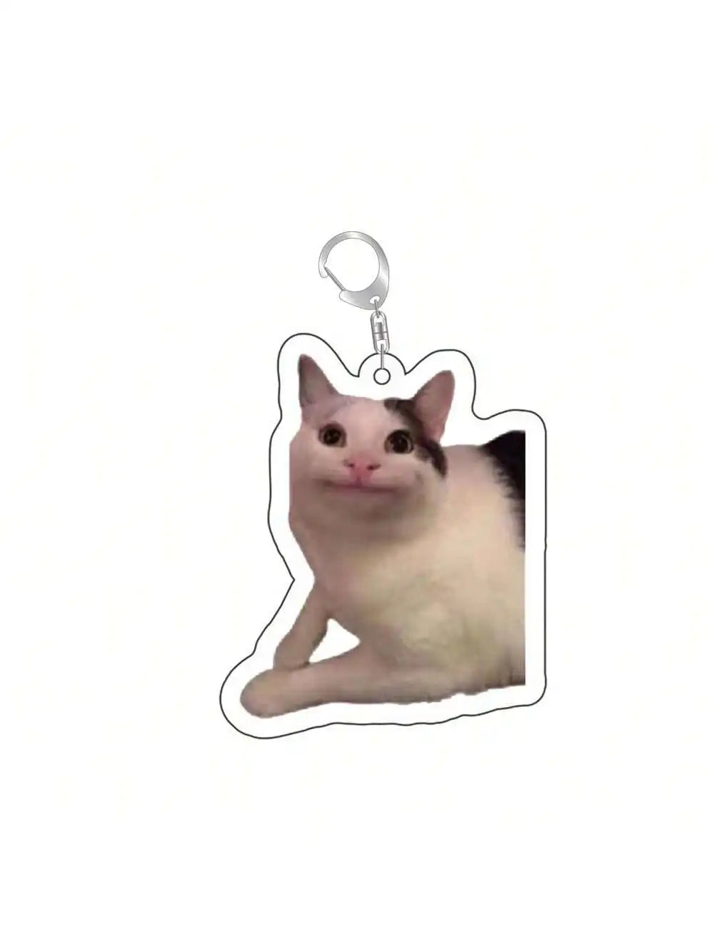 Cat and Dog Meme Charm Keychain with D-Ring Clasp