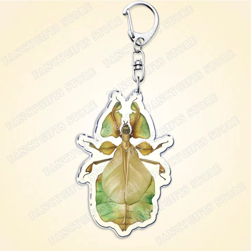 Beetle Acrylic Keychain with Lobster Clasp