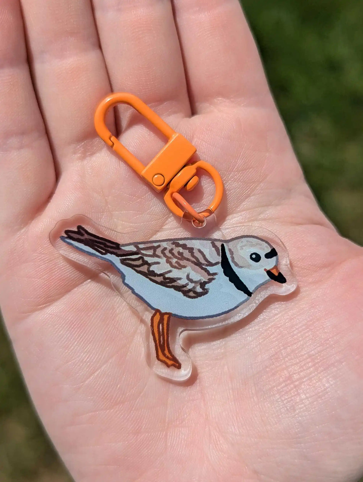 Double-Sided Plover Acrylic Bird Keychain