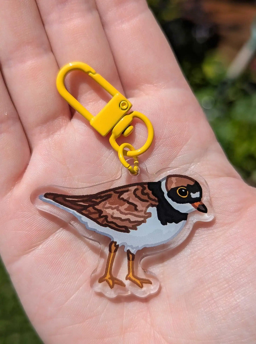 Double-Sided Plover Acrylic Bird Keychain