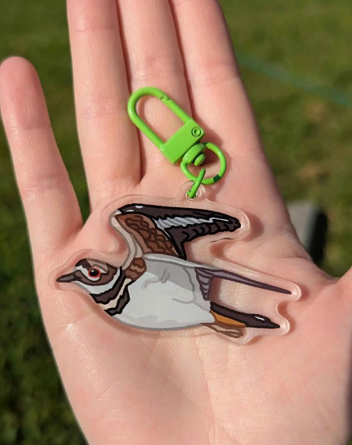Double-Sided Plover Acrylic Bird Keychain