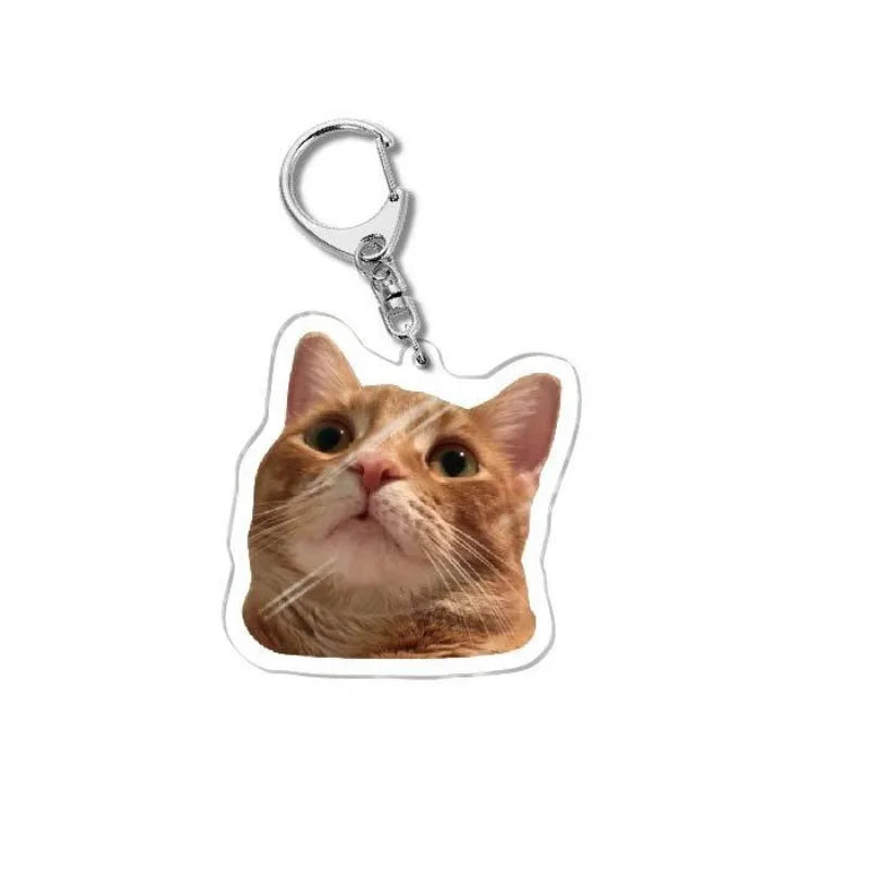 Cat Meme Acrylic Charm Keychain