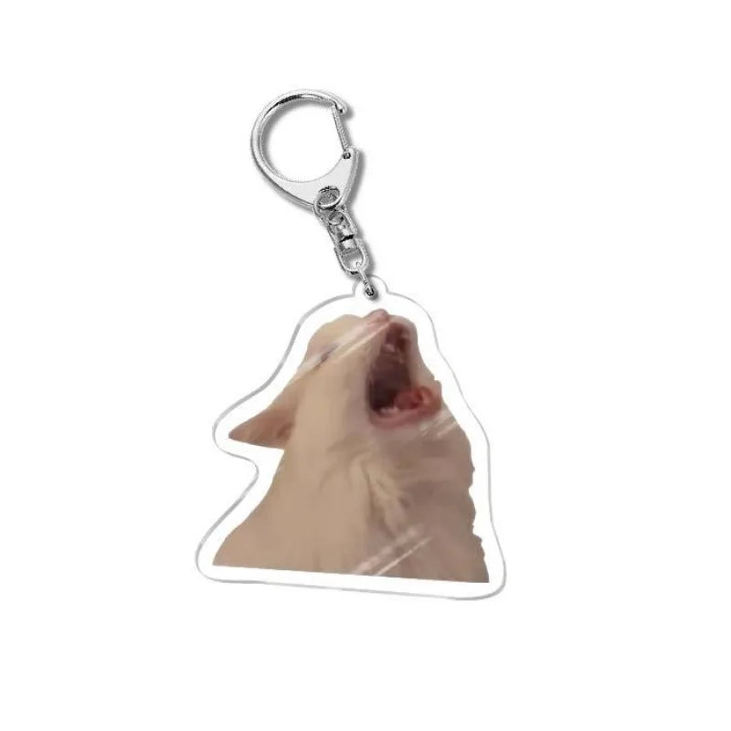Cat Meme Acrylic Charm Keychain