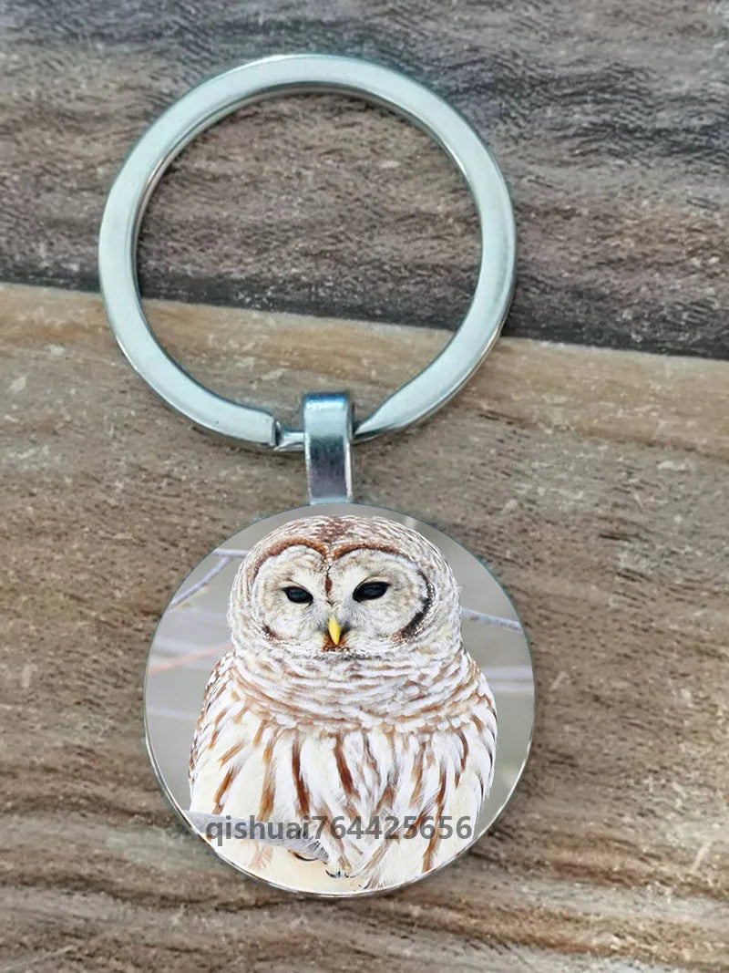 Owl Picture Keychain with Zinc Alloy and Glass