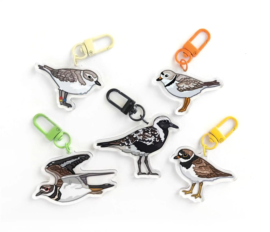 Double-Sided Plover Acrylic Bird Keychain