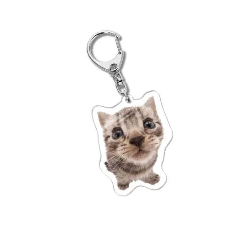 Cat Meme Acrylic Charm Keychain
