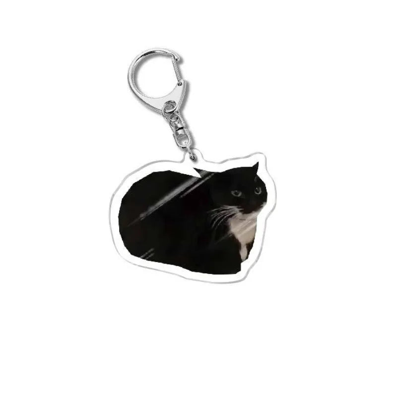 Cat Meme Acrylic Charm Keychain