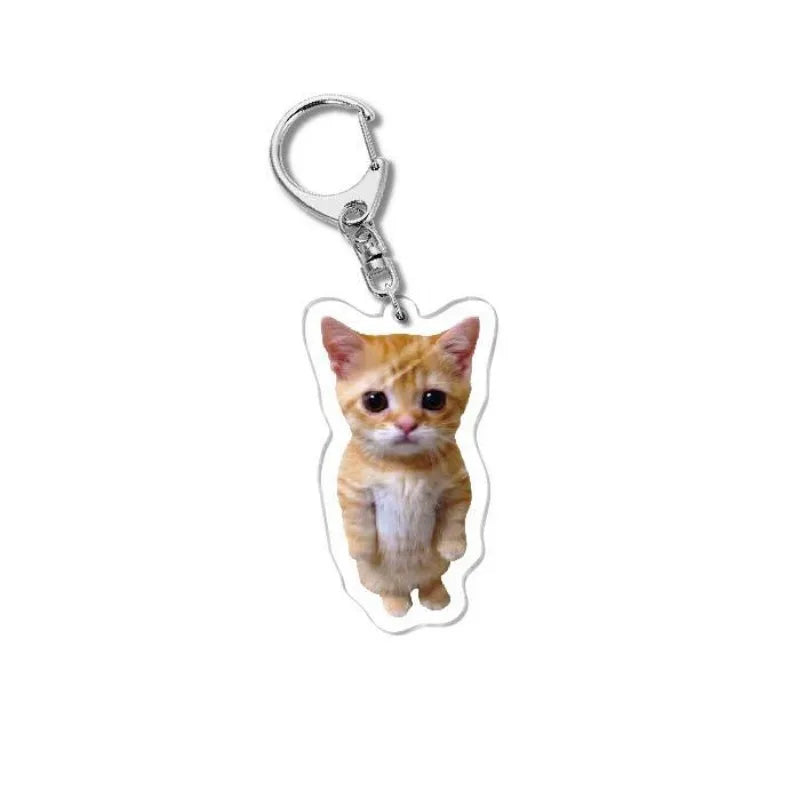 Cat Meme Acrylic Charm Keychain