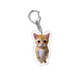 Cat Meme Acrylic Charm Keychain