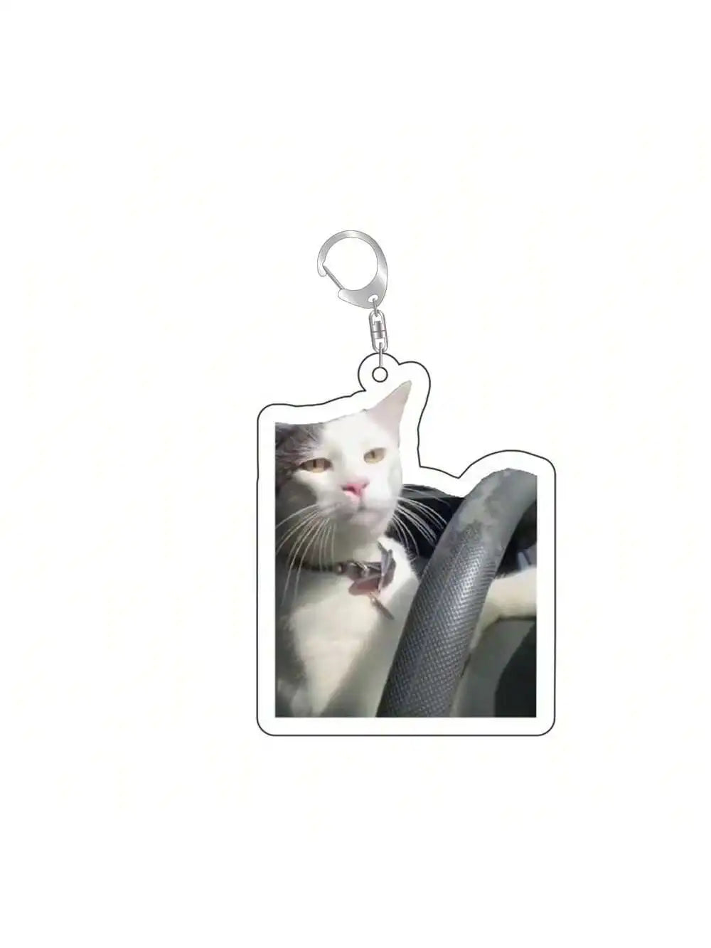 Cat and Dog Meme Charm Keychain with D-Ring Clasp