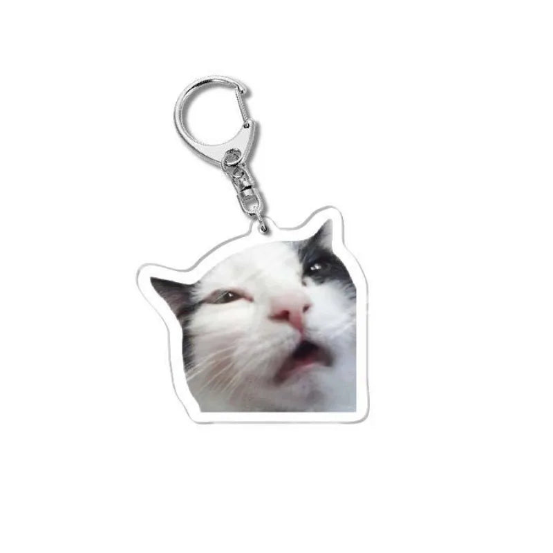 Cat Meme Acrylic Charm Keychain